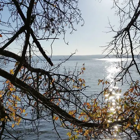 Palais Am Schlossplatz Διαμέρισμα