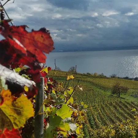 Διαμέρισμα Palais Am Schlossplatz